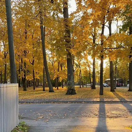 Vanapargi Residents Apartments In The City Center *