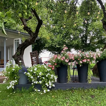 Vanapargi Residents In The Center Lejlighed Pärnu